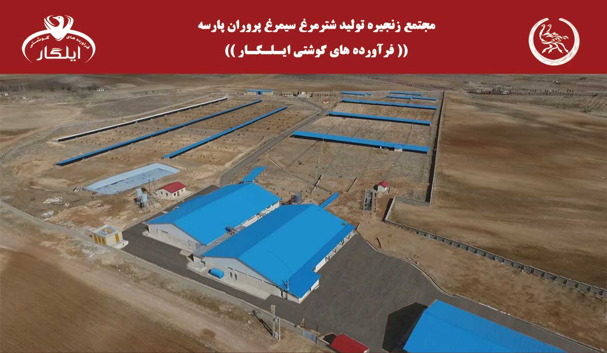 مجتمع زنجیره تولید شترمرغ سیمرغ پروران پارسه